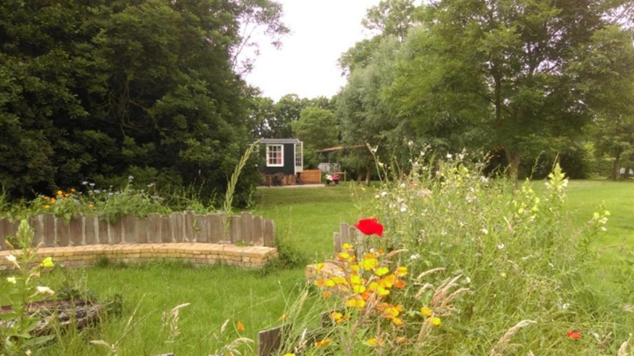 Pipowagen In Het Groen De Cocksdorp  Kültér fotó